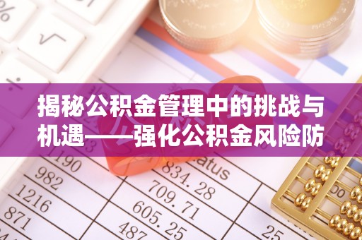 湖南揭秘公积金管理中的挑战与机遇——强化公积金风险防控的多维策略
