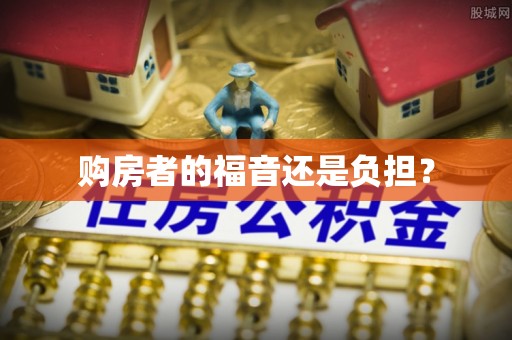 湖南购房者的福音还是负担？