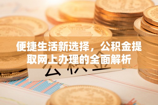 湖南便捷生活新选择，公积金提取网上办理的全面解析