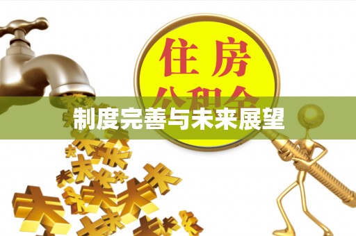 湖南制度完善与未来展望