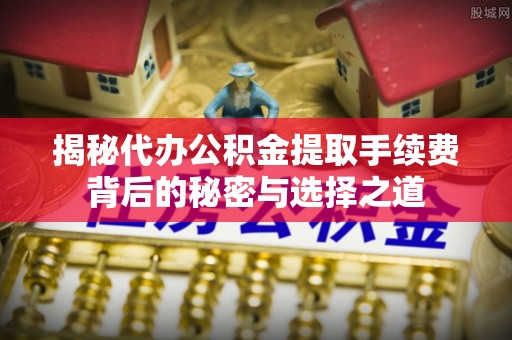 湖南揭秘代办公积金提取手续费背后的秘密与选择之道