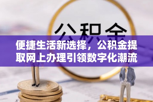 湖南便捷生活新选择，公积金提取网上办理引领数字化潮流