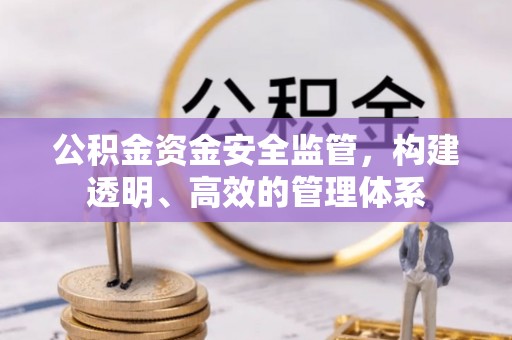 湖南公积金资金安全监管，构建透明、高效的管理体系