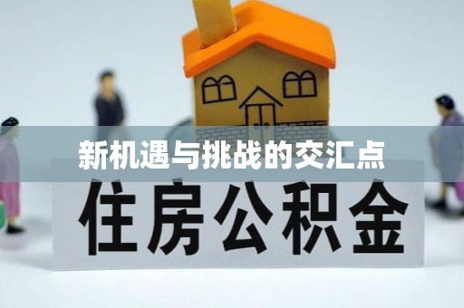 湖南新机遇与挑战的交汇点