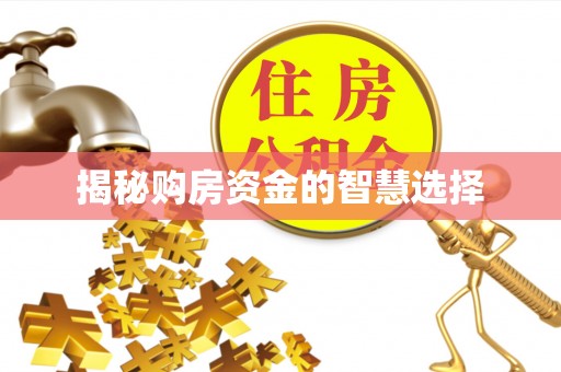 湖南揭秘购房资金的智慧选择