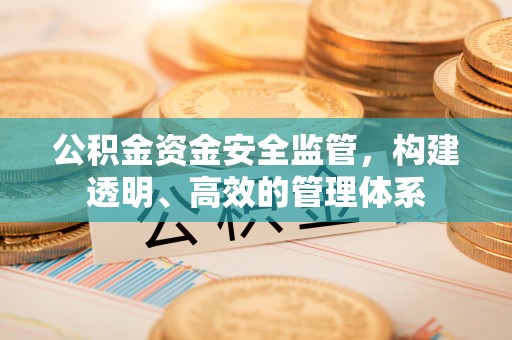 湖南公积金资金安全监管，构建透明、高效的管理体系
