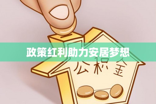 湖南政策红利助力安居梦想