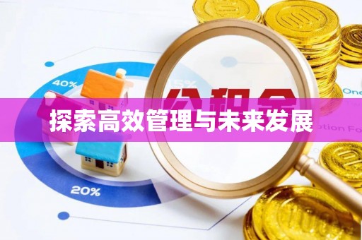 湖南探索高效管理与未来发展