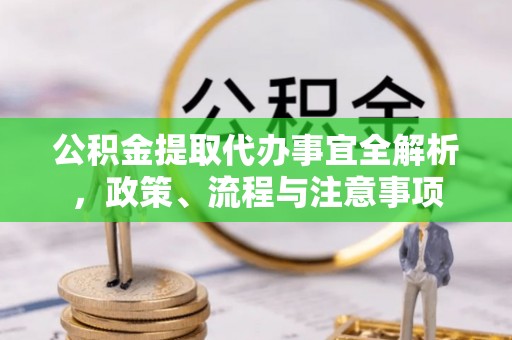 湖南公积金提取代办事宜全解析，政策、流程与注意事项