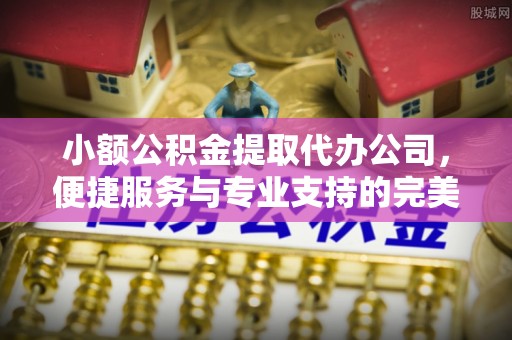 湖南小额公积金提取代办公司，便捷服务与专业支持的完美结合