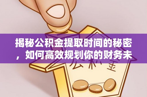 湖南揭秘公积金提取时间的秘密，如何高效规划你的财务未来