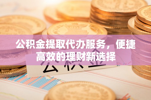 湖南公积金提取代办服务，便捷高效的理财新选择