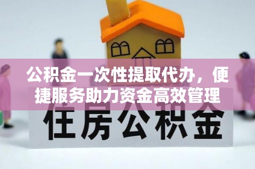 湖南公积金一次性提取代办，便捷服务助力资金高效管理