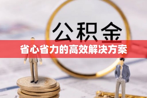 湖南省心省力的高效解决方案