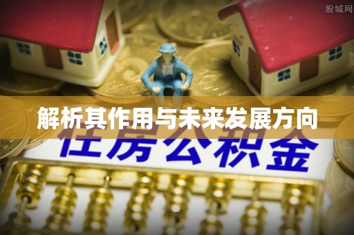 湖南解析其作用与未来发展方向